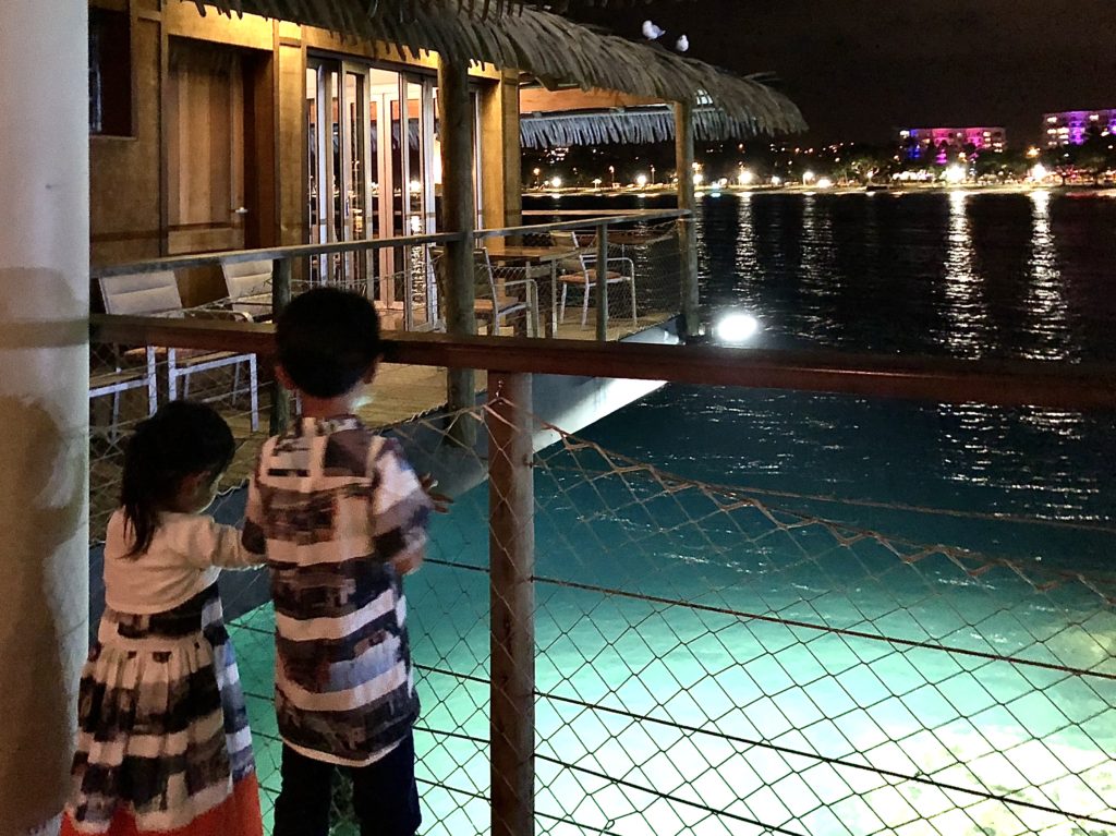 ちょっとすてきな子連れ旅 ニューカレドニア家族旅行 絶対に行くべき イルカの親子に会えたヌメアの水上レストラン Le Roof ちょっとすてきなwatashi生活